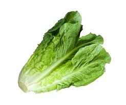 Kapusta pekińska EKO 1 szt