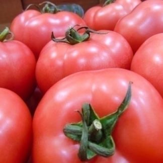 Pomidor malinowy EKO 1kg
