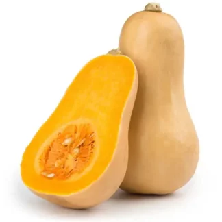 Dynia piżmowa (butternut) EKO 1 sztuka